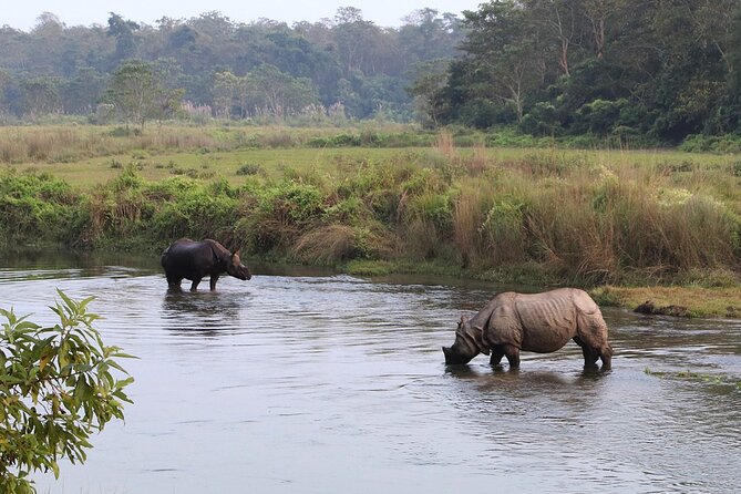3 Days and 2 Nights Chitwan National Park Safari Tour in Pokhara - Service style: what Crystal Holidays Nepal seems to do well