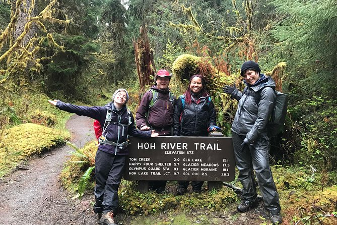 3 Days in Olympic National Park from Seattle: Silent Forest - Hoh Rainforest - Small-group transfers, included meals, and why that matters