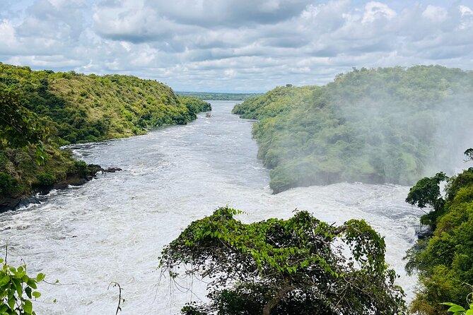3 Days Murchison Falls National Park Safari & Rhino tracking - Key highlights worth your attention