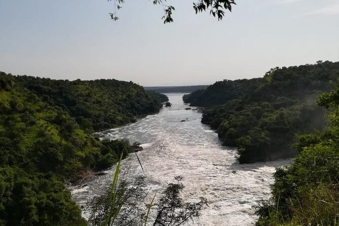 3 Days Murchison Falls National Park Safari & Rhino tracking - Day 2 game drives and the Nile launch cruise at the bottom of the falls