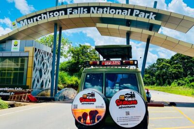 3 Days Murchison Falls National Park Safari & Rhino tracking - Day 1 rhythm: pickup, rhino tracking, lunch, then game drive and your accommodation