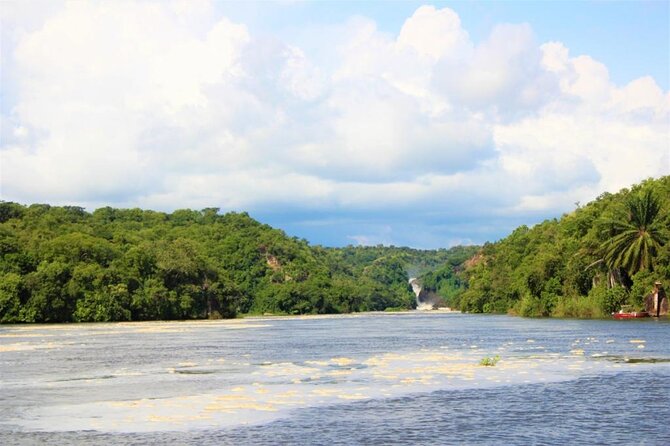 3 Days Murchison Falls National Park Safari & Rhino tracking - Wildlife chances: what this itinerary actually does for your odds