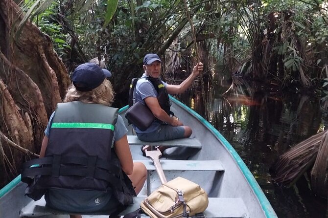 3-hour canoe tour through Tortuguero National Park - Wildlife spotting from the channels: birds, caimans, and more