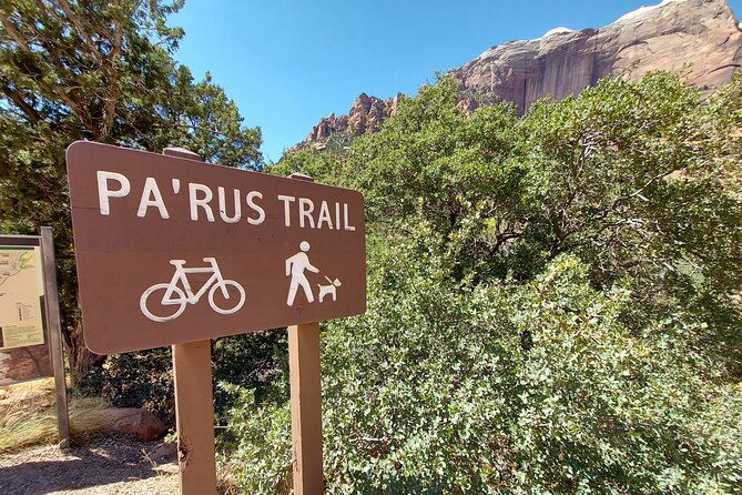 3 Hour Guided E Bike Tour in Zion National Park - Local Guides: Safety, Stories, and Better Photo Stops