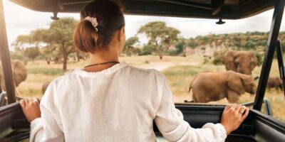 3-Hour Shared Game Drive in Pilanesberg National Park - Getting from Sun City to Pilanesberg: pickup, timing, and where you’ll meet
