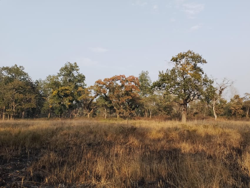 3 Nights 4 Days Chitwan National Park with Tower Night Stay - Day 1 in Chitwan: Tharu culture, Rapti sunset, and an easy first night
