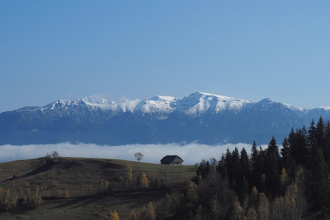 4-Day Carpathian Trek: Bucegi Mountains and Piatra Craiului National Park - Group Size, Pickup, and How the Days Actually Move