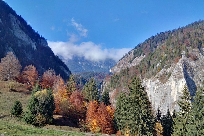 4-Day Carpathian Trek: Bucegi Mountains and Piatra Craiului National Park - Where You Sleep and Eat: Guesthouses That Keep the Trip Real