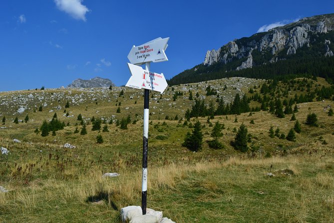 4-Day Carpathian Trek: Bucegi Mountains and Piatra Craiului National Park - Price and Value: What You’re Really Paying For