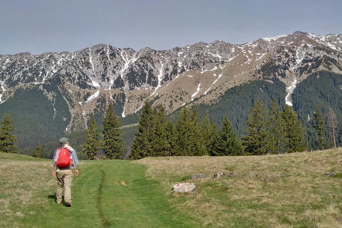 4-Day Carpathian Trek: Bucegi Mountains and Piatra Craiului National Park - Days 2 and 3 in Piatra Craiului: National Park Days Done Right