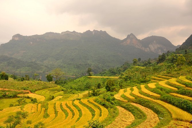 4-Day Jungle Trekking in Ba Be National Park - Day 1: Ba Be Lake Arrival, Tay Stilt House Night, and an Easy First Night
