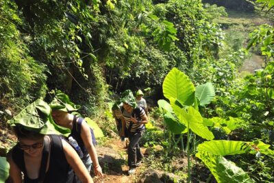 4-Day Jungle Trekking in Ba Be National Park - Day 2: Coc Toc Village, Pe Lu Stream, and the Steep-Terrain Reality Check