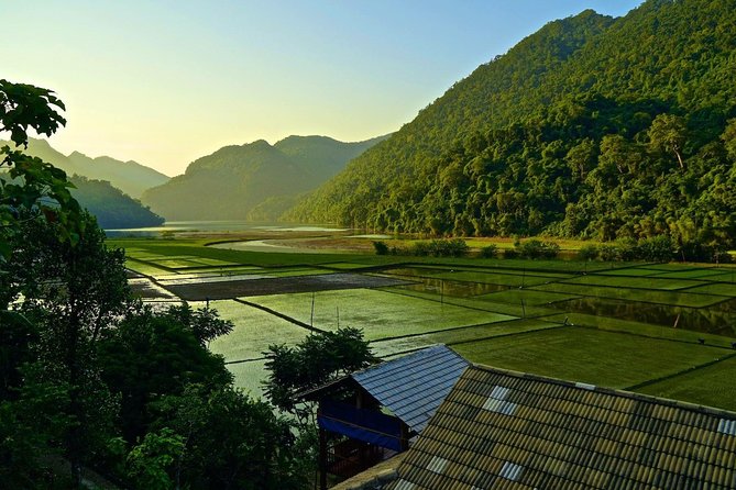 4-Day Jungle Trekking in Ba Be National Park - Homestays, Meals, and Corn Wine: What It’s Really Like