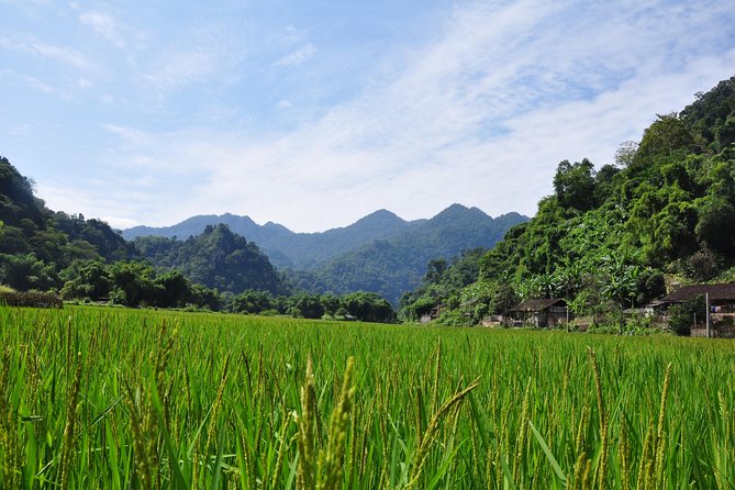 4-Day Jungle Trekking in Ba Be National Park - Fitness and Trail Reality: 25 km With a Few Hard Edges
