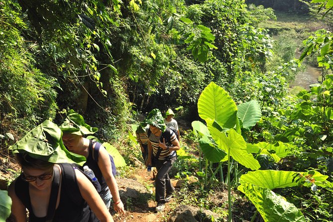 4-Day Jungle Trekking in Ba Be National Park - Day 2: Coc Toc Village, Pe Lu Stream, and the Steep-Terrain Reality Check