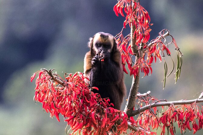 4 Day Tour to the Manu National Park - Key Details That Make This Manu Tour Worth It