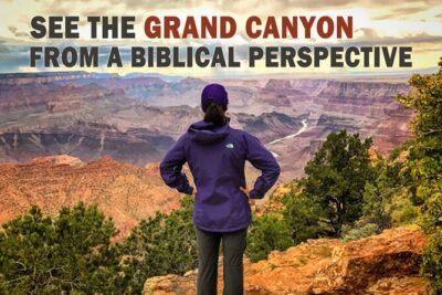 4-Hour Biblical Creation + Sunset Tour • Grand Canyon National Park South Rim - Stop-by-stop: how the tour builds the Creation and Flood theme