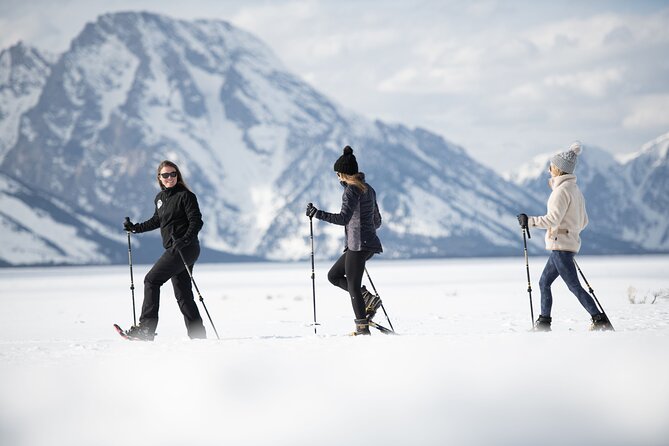 4 hour Snowshoe in Grand Teton National Park - Key highlights you’ll actually care about