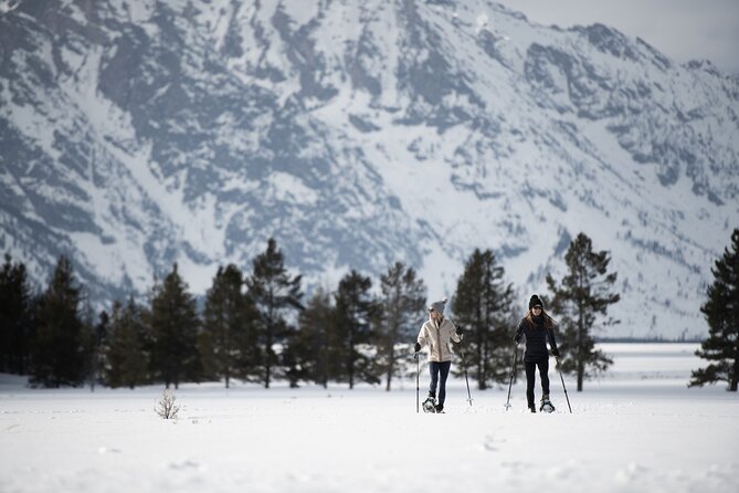 4 hour Snowshoe in Grand Teton National Park - Stop inside Grand Teton National Park: what to expect from the terrain