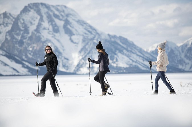 4 hour Snowshoe in Grand Teton National Park - Price and what you’re really buying for $198
