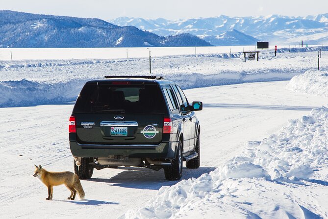 4 hour Snowshoe in Grand Teton National Park - Who should book this snowshoe tour in the Tetons