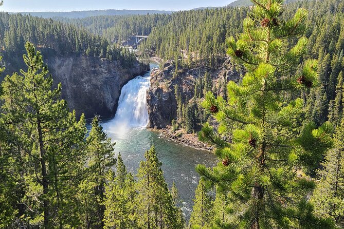 5-day In-Depth Yellowstone and Grand Teton National Park Tour - A flexible afternoon: Grizzly and Wolf Discovery Center