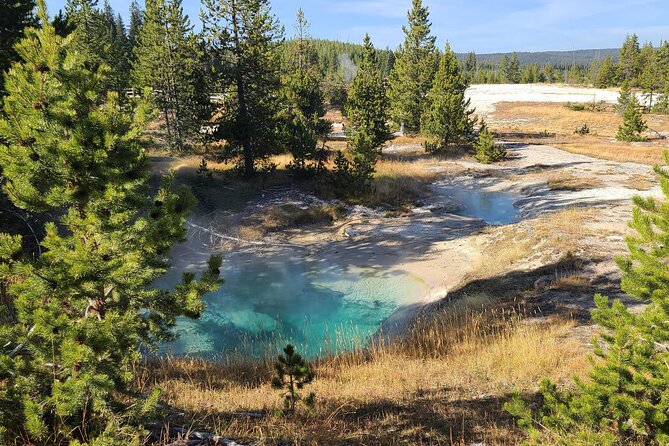 5-day In-Depth Yellowstone and Grand Teton National Park Tour - Price and value: what $2,995 includes (and what it doesn’t)