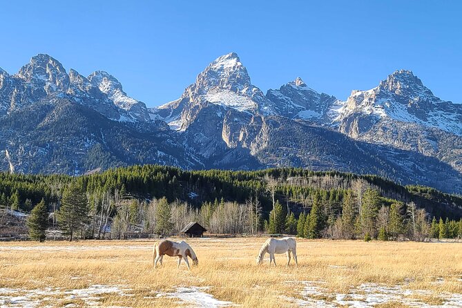 5-day In-Depth Yellowstone and Grand Teton National Park Tour - Old Faithful, Grand Prismatic, and the Grand Canyon of Yellowstone