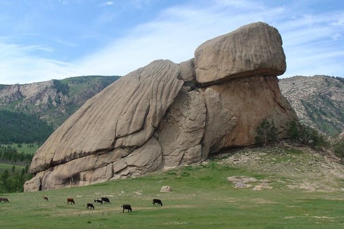 5 Days Terelj national Park Tour From Central Mongolia - Price and value: is $985.92 a good deal for 5 days?