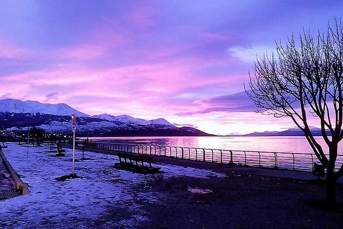 5-Hour National Park + City tour - USHUAIA (Private Tour) - Key highlights to notice before you go