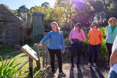 5hr Eden Tour in Nature; Beach, Lookout & National Park - Eden Lookout and Rotary Park: your first whale-watch shot