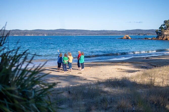 5hr Eden Tour in Nature; Beach, Lookout & National Park - Davidson Whaling Station: try-works first, then sand time