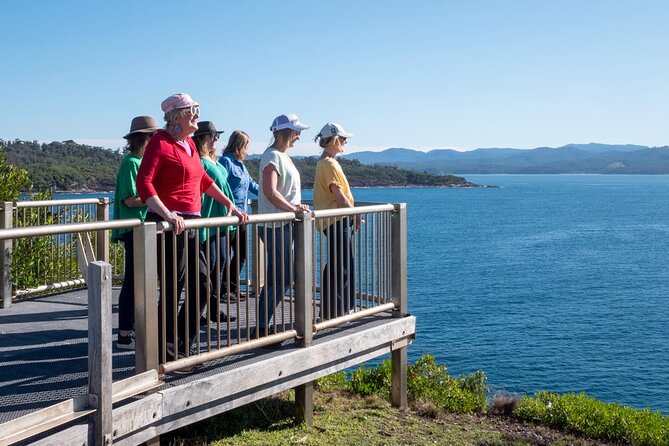 5hr Eden Tour in Nature; Beach, Lookout & National Park - The Pinnacles: geology you can see in one flat walk