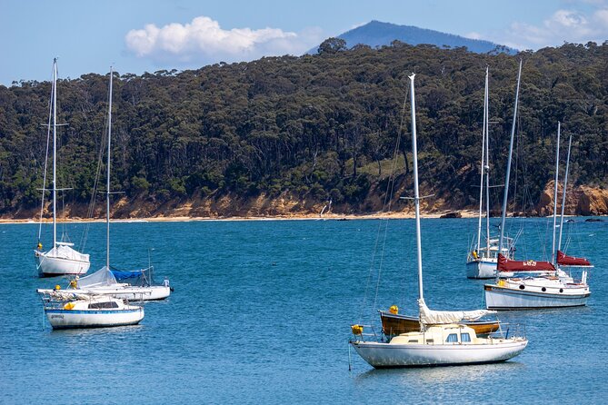 5hr Eden Tour in Nature; Beach, Lookout & National Park - Lunch, pace, and what to bring for a smooth day