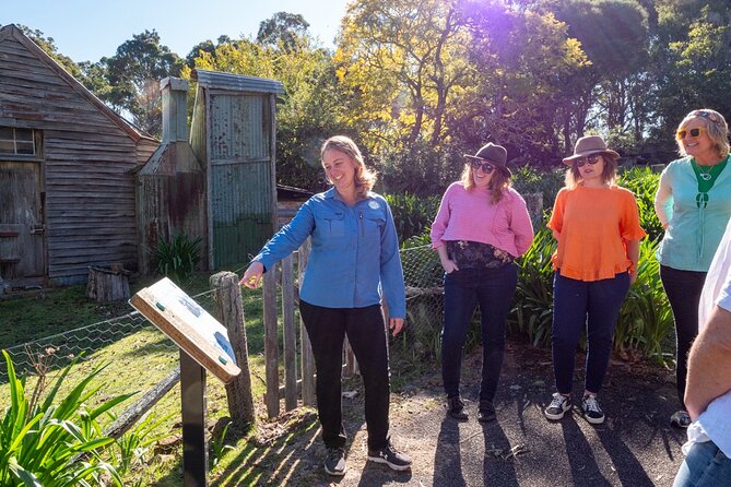 5hr Eden Tour in Nature; Beach, Lookout & National Park - Eden Lookout and Rotary Park: your first whale-watch shot