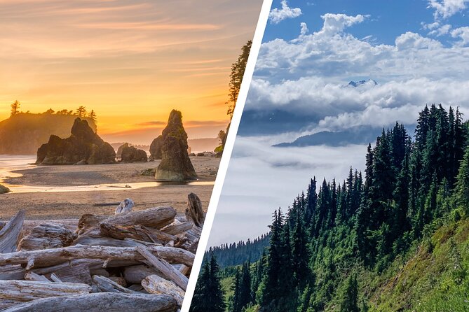 6-Day Backpacking Summer Camp Adventure in Olympic National Park - Why Olympic Coast Backpacking Fits a Summer Camp Week for Teens