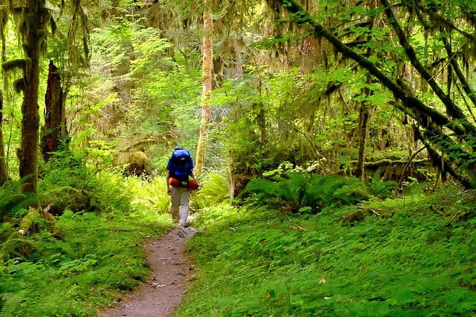 6-Day Backpacking Summer Camp Adventure in Olympic National Park - Day 6: Easy 3.4 miles to Ozette, then Storm King pickup for parents