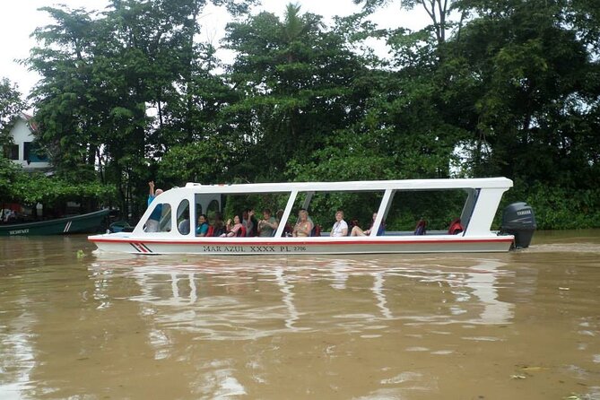 6-in-1 Tour: Cahuita National Park, Tortuguero Canals & More! - Mangrove fruit and souvenir stop with tasting options