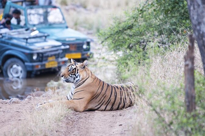 7-Day Golden Triangle & Ranthambore Tiger Safari from Delhi - Key Things That Make This Tour Worth Your Time