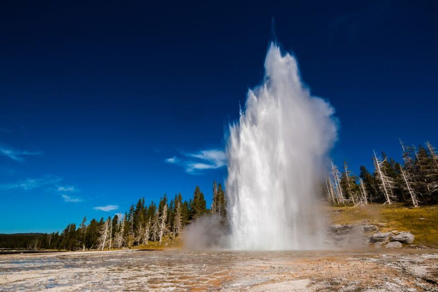 7-Day Yellowstone National Park Rocky Mountain Explorer - Key takeaways before you go