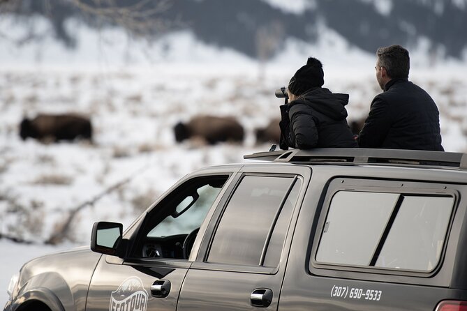 8 Hour Combination Snowshoe & Wildlife Viewing in Grand Teton National Park - Why Grand Teton feels different on snowshoes