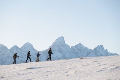 8 Hour Combination Snowshoe & Wildlife Viewing in Grand Teton National Park - Snowshoeing in Grand Teton: what you’ll actually do