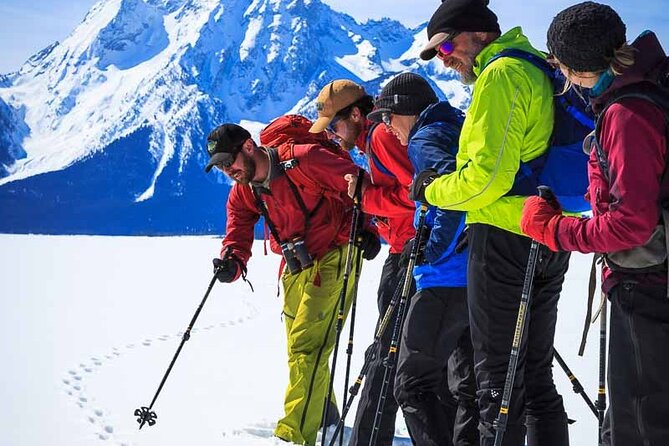 8 Hour Combination Snowshoe & Wildlife Viewing in Grand Teton National Park - Price and value: what the $349 covers