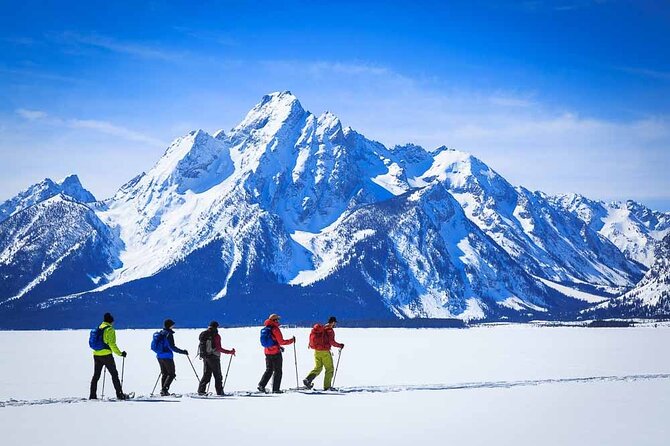 8 Hour Combination Snowshoe & Wildlife Viewing in Grand Teton National Park - Weather reality: how to set expectations in winter