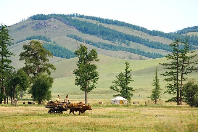 A day trip to Terelj National Park and Statue of Chinggis Khan - Aryabal Meditation Temple: a hike with real spiritual payoff