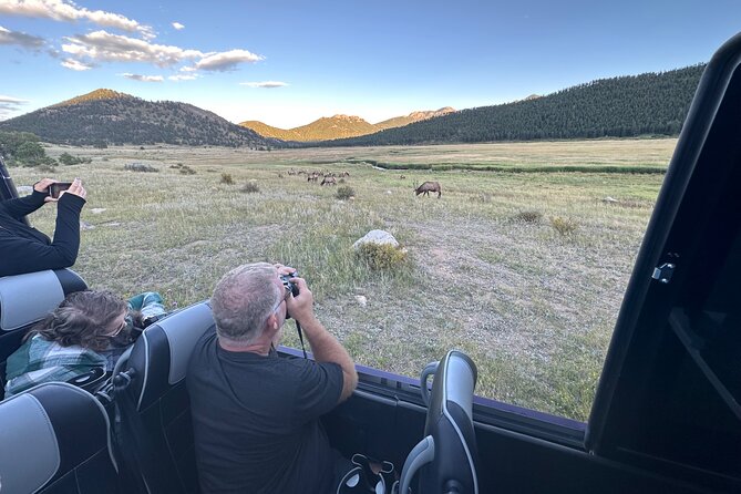 A Rutin' Good Time; Elk Tour in Rocky Mountain National Park - Key Things I’d Highlight Before You Go