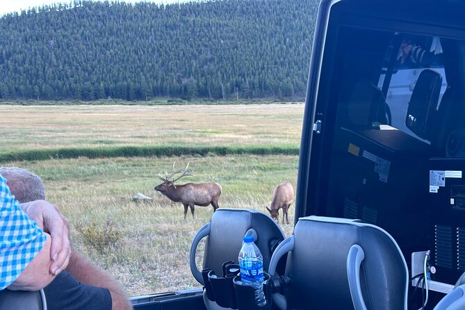 A Rutin' Good Time; Elk Tour in Rocky Mountain National Park - Who This Tour Is Best For