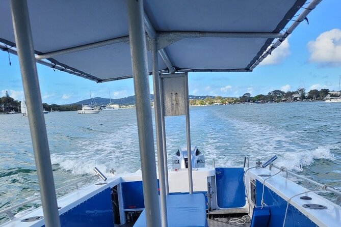 AAA Noosa National Park Tour and Dolphin Safari Whalesongsnoosa - Wildlife odds: dolphins, turtles, fish, jellyfish, and whales in season