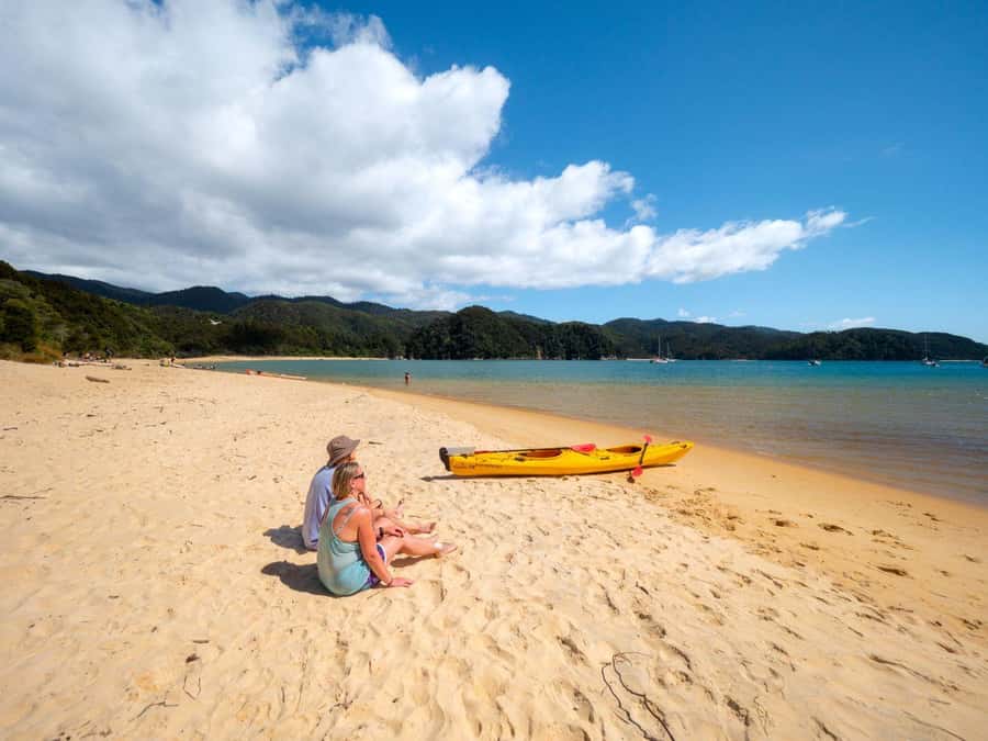 Abel Tasman National Park: Cruise, Kayak, & Hike Tour - Adele Island wildlife sanctuary: seals, birds, and that predator-free feeling