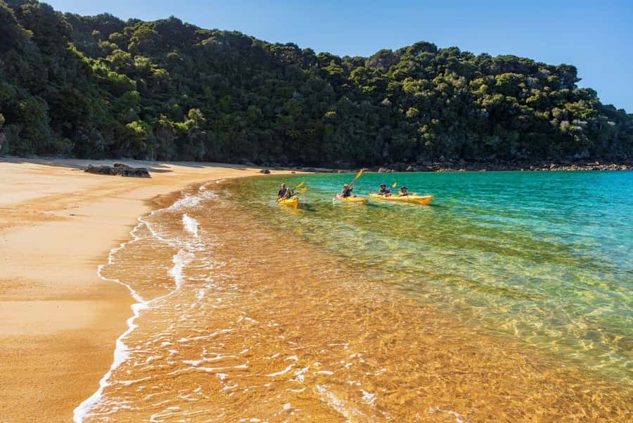 Abel Tasman National Park: Cruise, Kayak, & Hike Tour - Timing and energy check: how the 570 minutes actually feel
